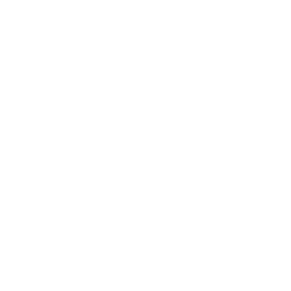 Промышленная группа Родина